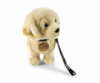 Rappa Plyšový pes zlatý retrívr stojící s vodítkem 25 cm ...