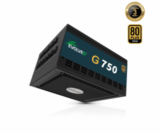EVOLVEO G750,750W,ATX3.1,14cm,aPFC,80+GOLD,3YRW