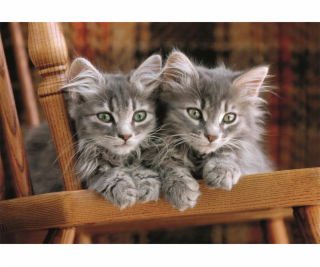 Clementoni - Puzzle 500 Koťata