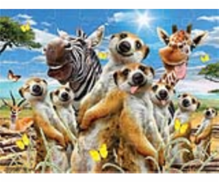 PRIME 3D PUZZLE - Selfie surikaty 48 dílků
