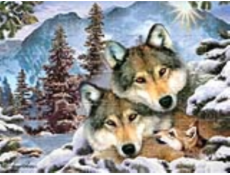 PRIME 3D PUZZLE - Vlci 100 dílků