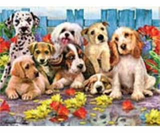 PRIME 3D PUZZLE - Psi 63 dílků