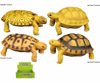 Zvířecí svět - Želva H54 4 druhy