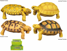 Zvířecí svět - Želva H54 4 druhy