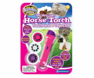MG DYSTRYBUCJA Brainstorm s baterkou a projektorem - koně...