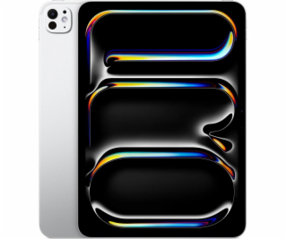 iPad Pro 13  Wi-Fi + Cellular 256 GB se standardním sklem...