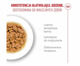 ROYAL CANIN Ageing 15+ Chunks in gravy - mokré krmivo pro...