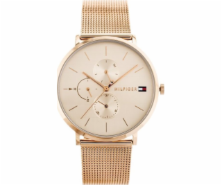 TAYMA Hodinky Dámské hodinky TOMMY HILFIGER JENNA (zf509c)