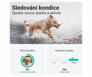 Tractive GPS DOG XL – sledování polohy a aktivity pro psy...