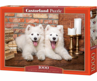 Castor Puzzle 1000 dílků Štěňata samojeda