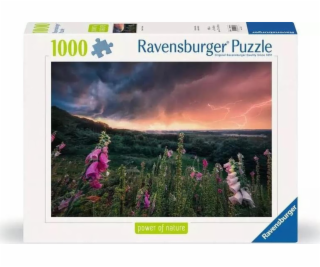 Ravensburger Polska Puzzle 1000 dílků Bouře se blíží
