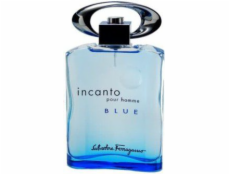 Salvatore Ferragamo Incanto Pour Homme Blue EDT 100 ml