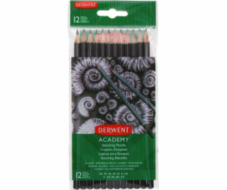 Swanson Tužky Derwent ve fólii 12 5H-6B