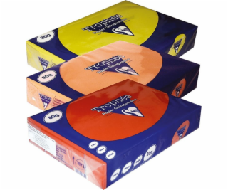 Trophee Papír Trophee A4/80g ocelově šedý (500 ks)