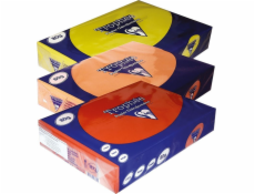 Trophee Papír Trophee A4/80g ocelově šedý (500 ks)