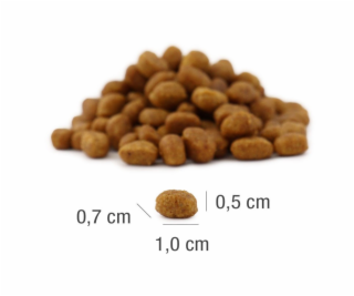 PLATINUM MeatCrisp Adult Fish - suché krmivo pro kočky - ...