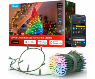 Govee LED Christmas Light 20m