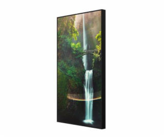 Hisense 55WH80F, 55” Window Facing - High Brightness Display