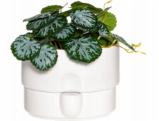 4Living Květináč se zavlažovacím systémem, O 19 cm