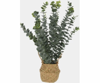 Umělý eukalyptus v košíku, 50 cm