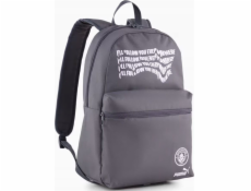 Puma Batoh Manchester City 090754-59