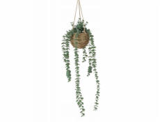 Boltze Umělá závěsná rostlina EUKALYPTUS, 78 cm