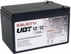 Baterie Salicru pro UPS Salicru 013BS000003 12 ah 12 v