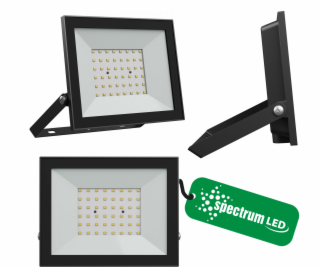 Wojnarowscy Reflektor NOCTIS LUX 4 50W CW 230V IP65 176x1...