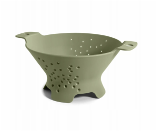 VERGIONIC CESNÍK CODER ZEŇ