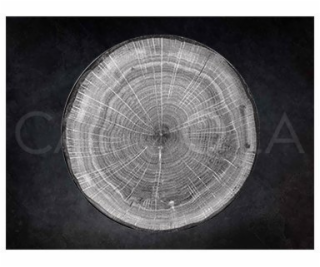 Vilde Plochý talíř Woodart šedý 29 cm