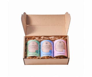 Dworzysk - Sada květin počasí