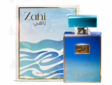 Alkotest Paris Corner Zahi EDP U 100 ml