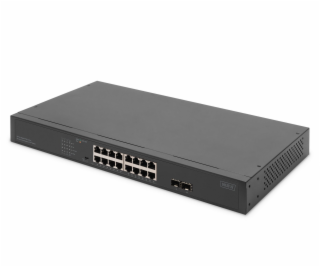 Digitus 16portový gigabitový port