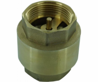 NoName Zpětný ventil s mosaznou čepkou 2