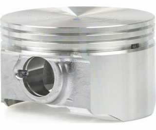 Tvardy Píst pro jednotku T05011 (1)