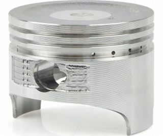 Tvardy Píst pro jednotku T05010 (1)