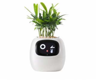 kwiatydonice PlantsIO BŘEČŤAN BÍLÝ