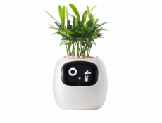 kwiatydonice PlantsIO BŘEČŤAN BÍLÝ