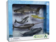 Collecta Sada figurek 5 mořských živočichů v balení 89671 COLLECTA