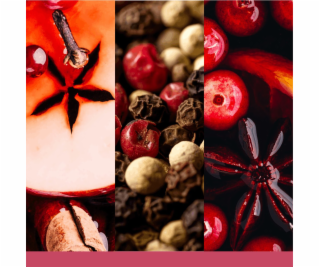 Yankee Candle Velká svíčka Santa on Skis, 567 g