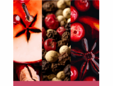 Yankee Candle Velká svíčka Santa on Skis, 567 g