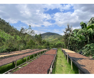 NoName RWANDA MUHABURA ROYAL ROBUSTA OMNIROAST zrnková ká...