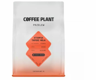 Coffee Plant Kávová zrna Etiopie Taferi Kela s promytým f...