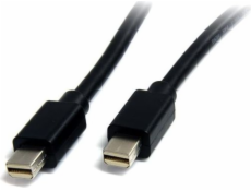StarTech DisplayPort Mini – DisplayPort Mini kabel 2m černý (MDISP2M)