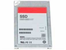 960GB SSD SAS Read Intensive 12Gbps 512e 2.5in Hot-plug PM5-R Drive CK