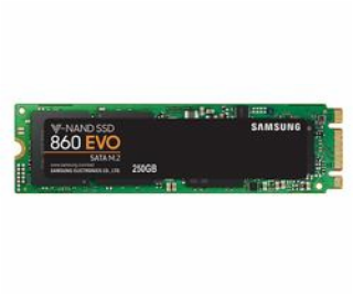 Samsung SSD 860 Evo M.2 250GB MZ-N6E250BW