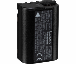 Panasonic DMW-BLK22E