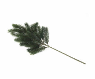Větvička jedle, 65 cm Větvička jedle, 65 cm