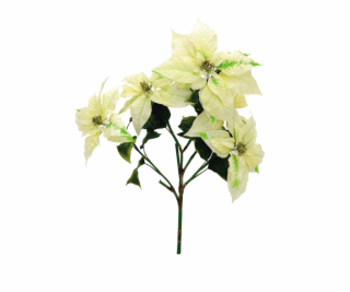 Vánoční hvězda keřík, krémový, 60 cm Vánoční hvězda keřík, krémový, 60 cm