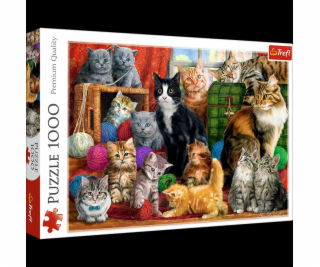 Puzzle 1000 dílků - Kočičí setkání